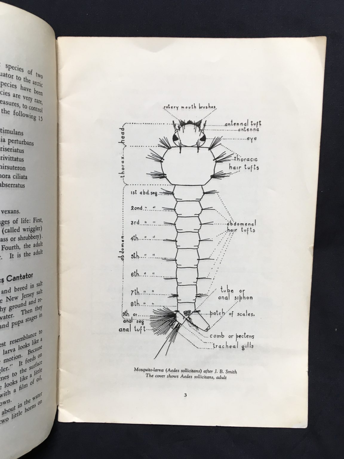 New Jersey Mosquito Guide Book From 1935 - Image 2