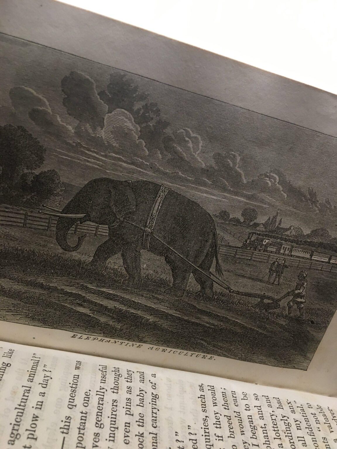 Struggles and Triumphs , Recollections : P.T. Barnum 1872 [ Warren Johnson Courier Co ] - Image 3