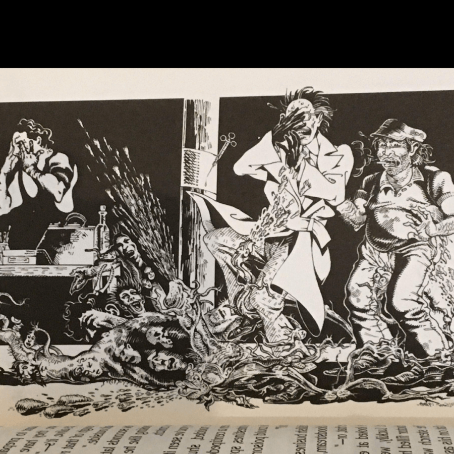 Tornado Alley : William Burroughs , S Clay Wilson [ First Edition ] - Image 2